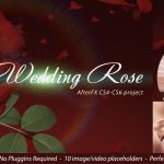 Videohive Wedding Rose