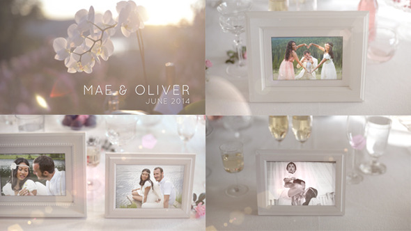 Videohive White Photo Gallery Special Events 6714159