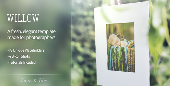 Videohive Willow