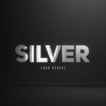 Videohive Silver Logo Reveal (3 versions) 26714302