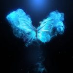 Videohive Flying Butterfly Logo Reveal 4k 22799595