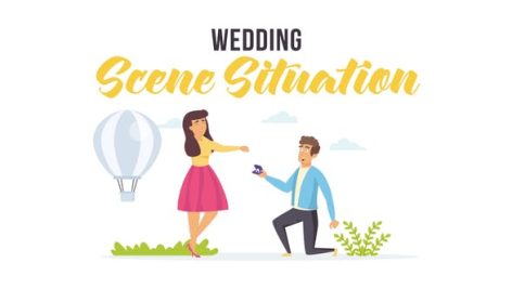 Videohive Wedding - Scene Situation 27608368